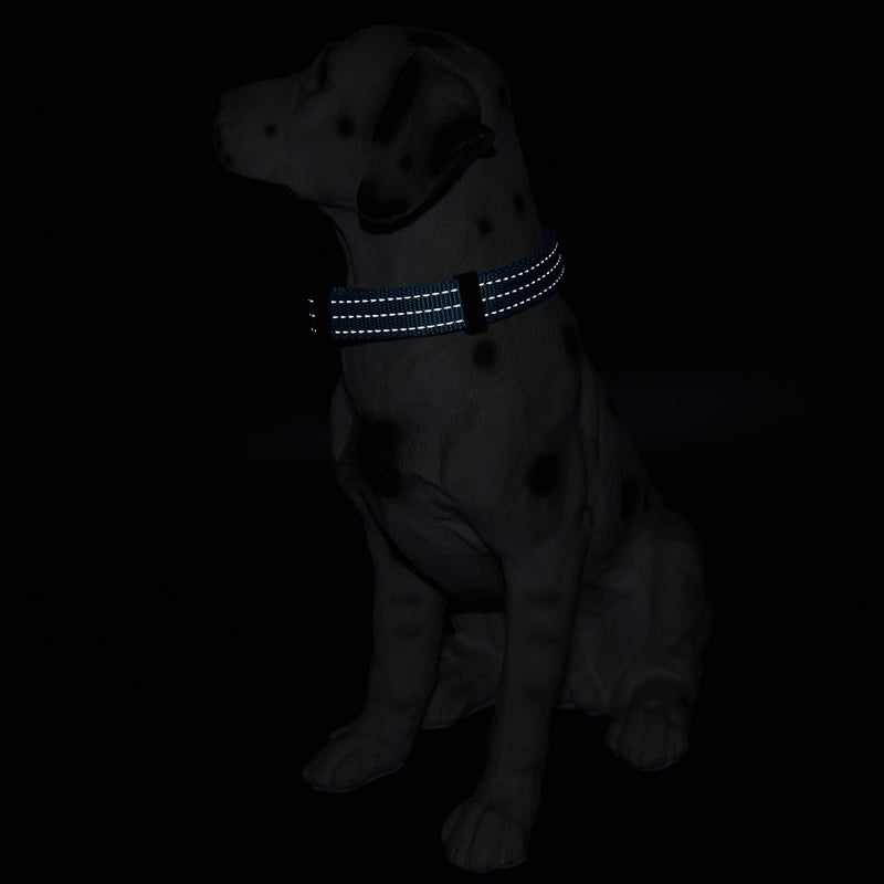 Mile High Life Dog Collar | Nylon Reflective Dog Collars | Light Weight Puppy Collars | Purple Dog Collars for Medium Dogs (Solid Purple, Medium) - Image 5